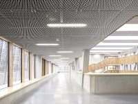 Aluminum mesh ceilings